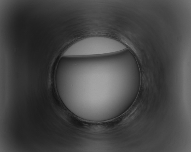 X0000090620203200707171109