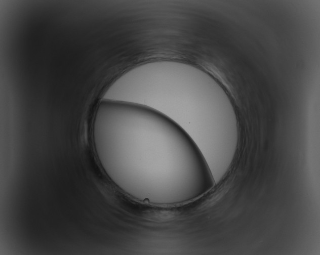 X0000090620205200707171109