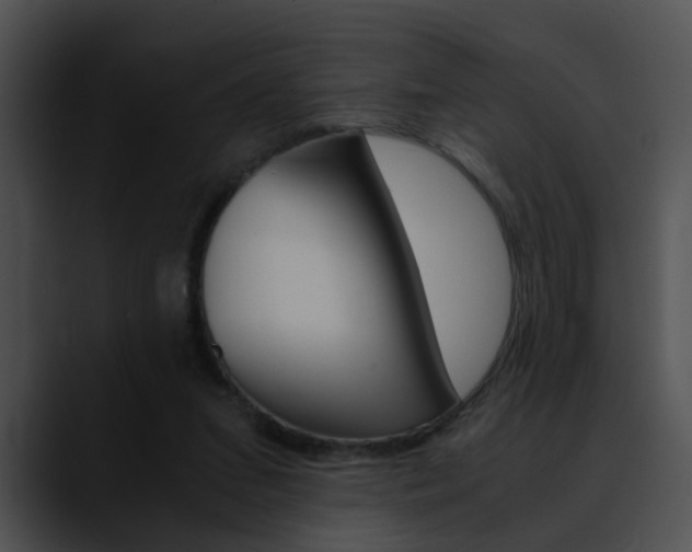 X0000090620207200707171109