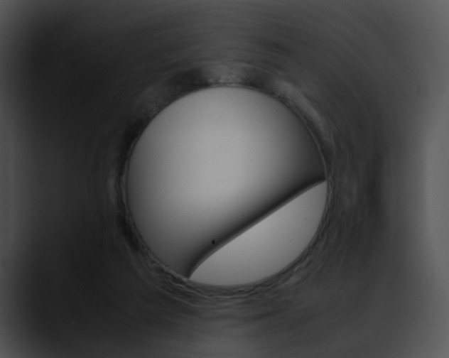 X0000090620209200707171109