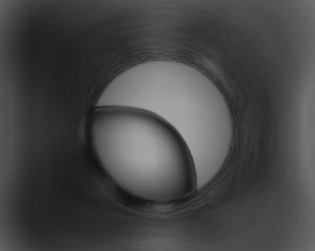 X0000090620217200707171109