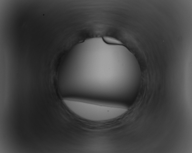 X0000090620225200707171108
