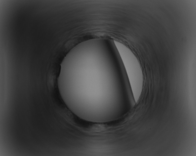 X0000090620227200707171108