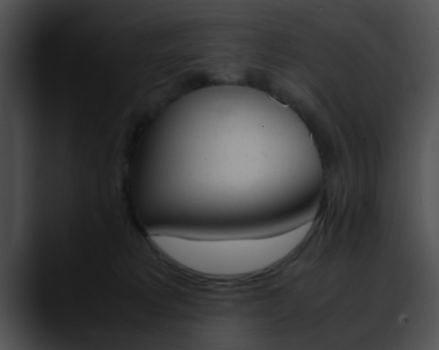 X0000090620229200707171108