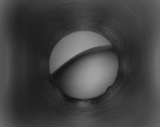 X0000090620232200707171108