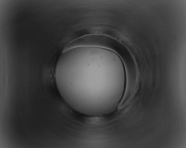 X0000090620237200707171108
