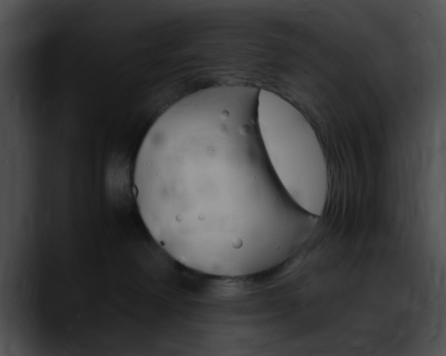 X0000090620238200707171108