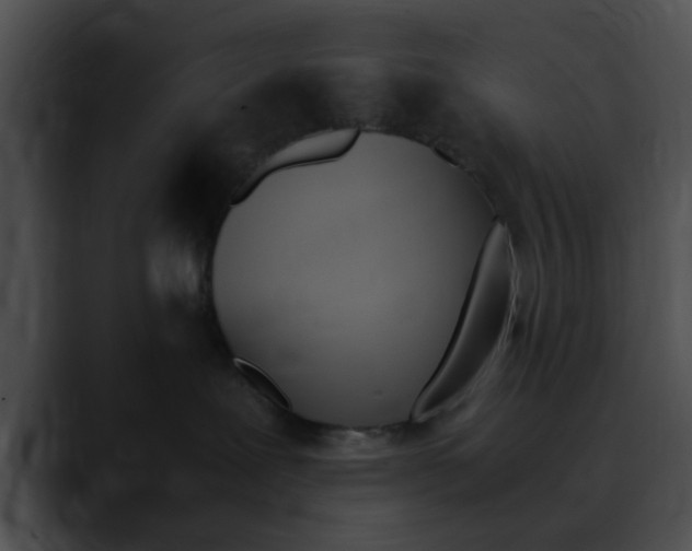 X0000090620239200707171108