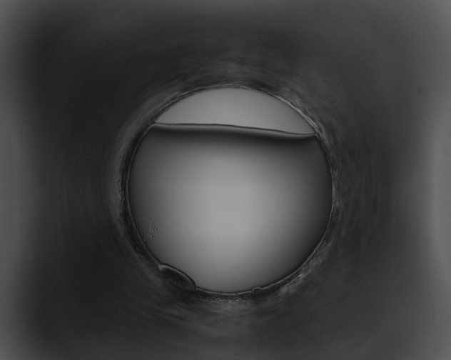 X0000090620245200707171108