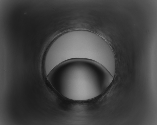 X0000090620248200707171108