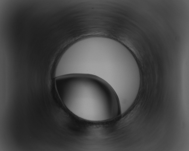 X0000090620252200707171108