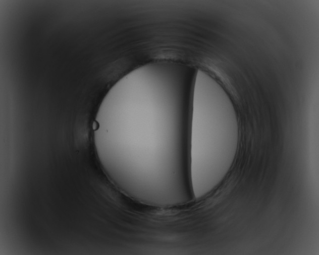 X0000090620261200707171108