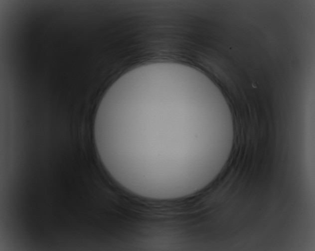 X0000090620268200707171108