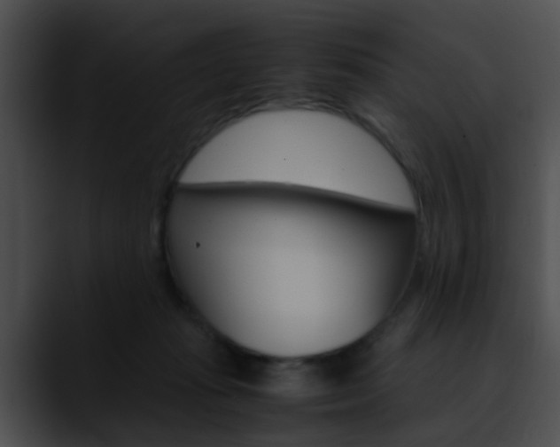 X0000090620269200707171108