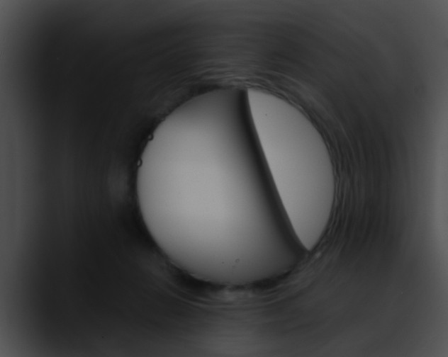 X0000090620270200707171108
