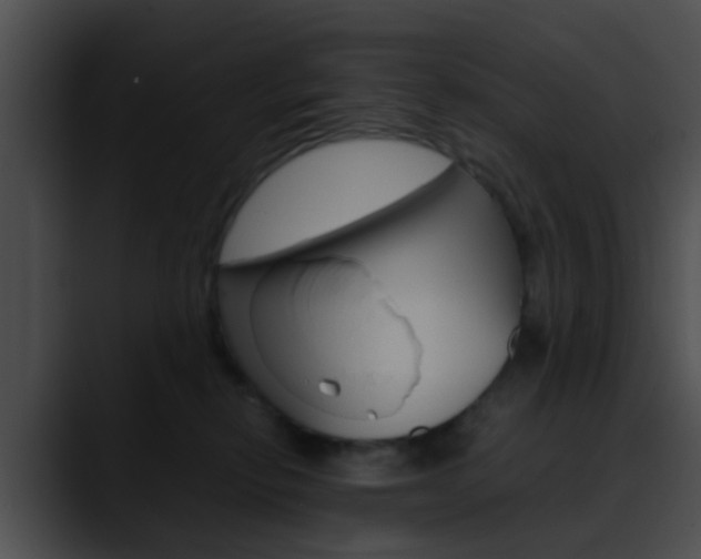 X0000090620278200707171108