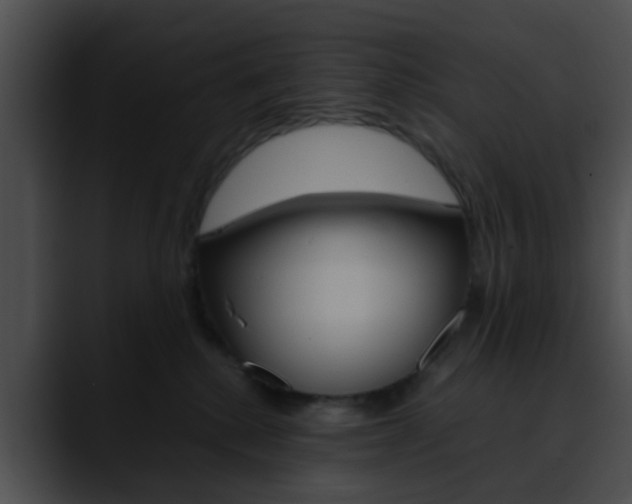 X0000090620280200707171108