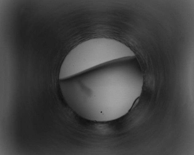 X0000090620283200707171108