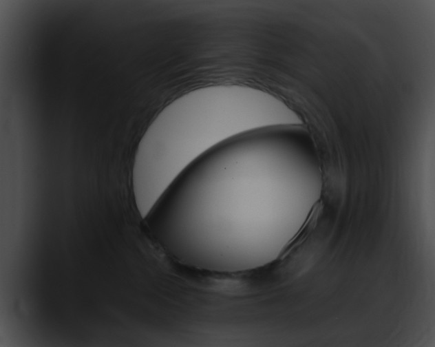 X0000090620284200707171108