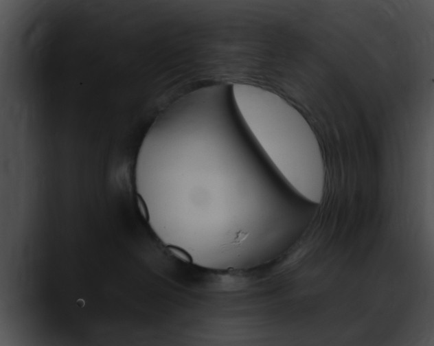 X0000090620286200707171108