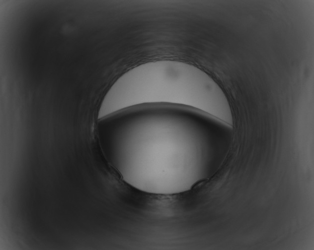 X0000090620288200707171108