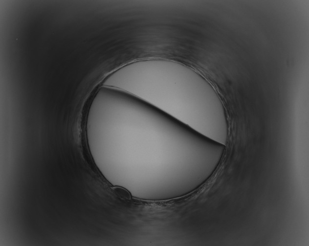 X0000090620290200707171108