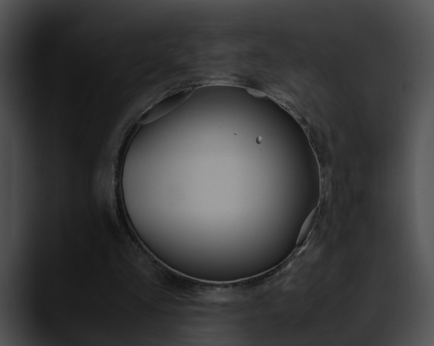 X0000090620293200707171108