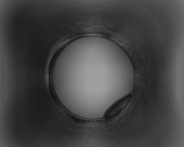 X0000090620294200707171108