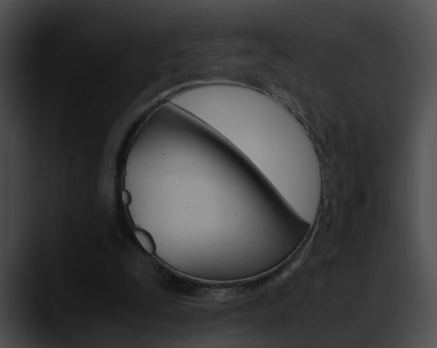 X0000090620295200707171108