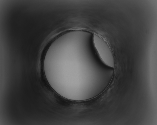 X0000090620296200707171108
