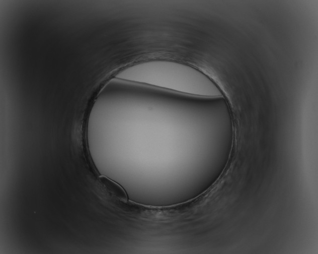 X0000090620297200707171108
