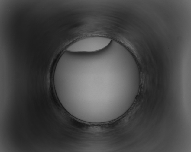 X0000090620298200707171108