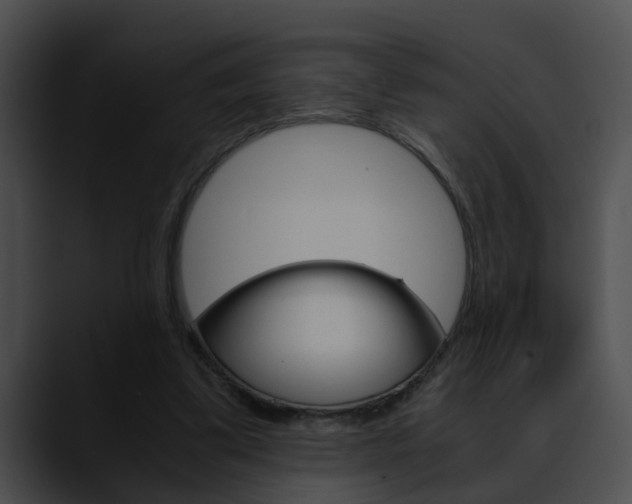 X0000090620299200707171108