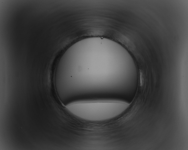 X0000090620300200707171108