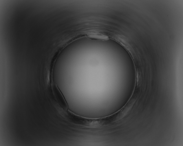 X0000090620301200707171108