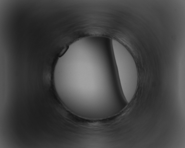 X0000090620309200707171107