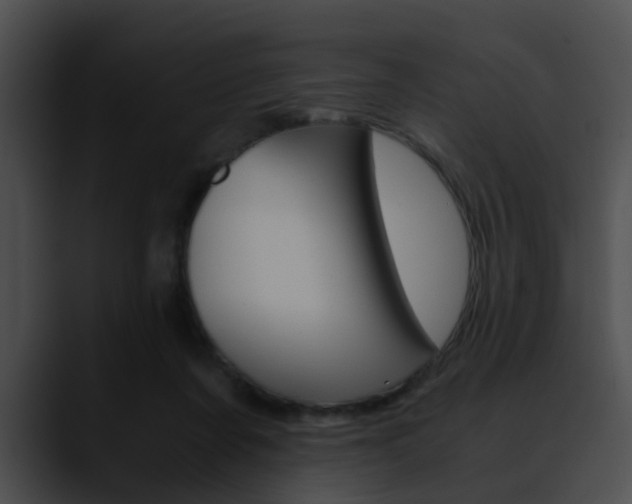 X0000090620311200707171107