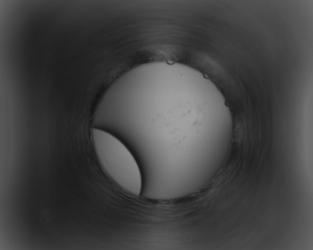 X0000090620318200707171107