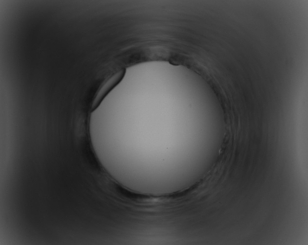 X0000090620323200707171107