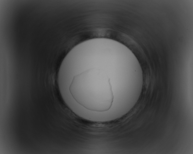 X0000090620326200707171107