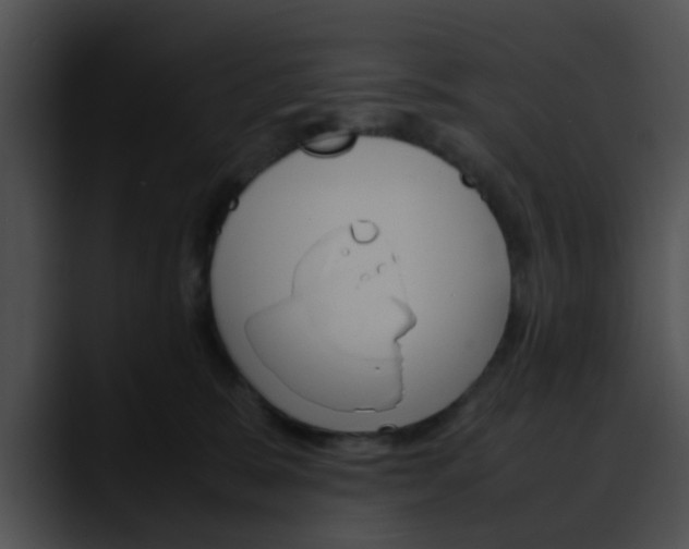 X0000090620327200707171107