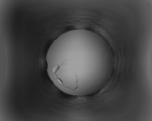 X0000090620329200707171107