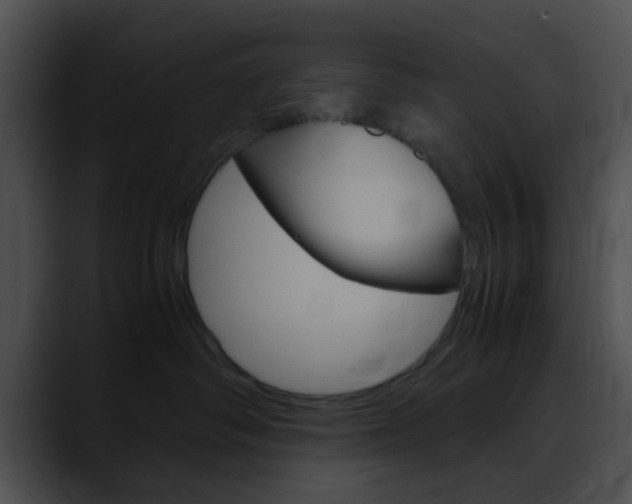 X0000090620334200707171107