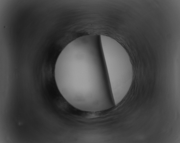 X0000090620335200707171107