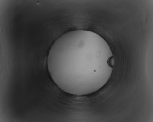 X0000090620336200707171107
