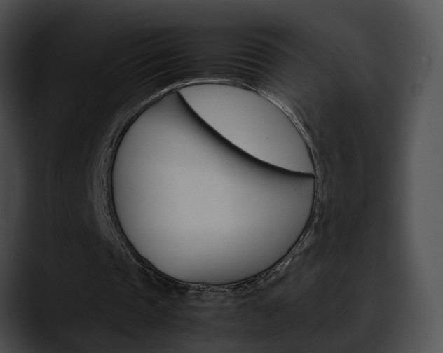 X0000090620337200707171106