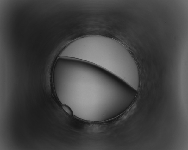 X0000090620341200707171106