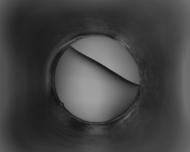 X0000090620343200707171106