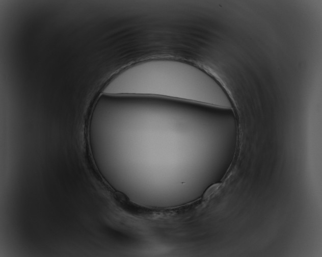 X0000090620345200707171107
