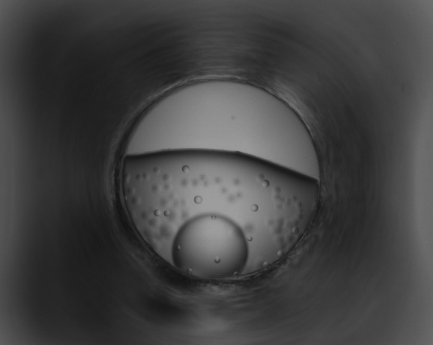 X0000090620346200707171107